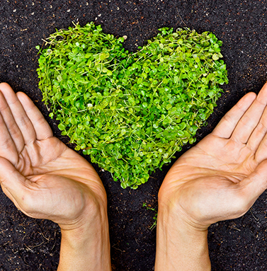 Eine Hand umhüllt ein Herz aus Gras | Heinrich Niestroj Haus- und Grundstücksservice