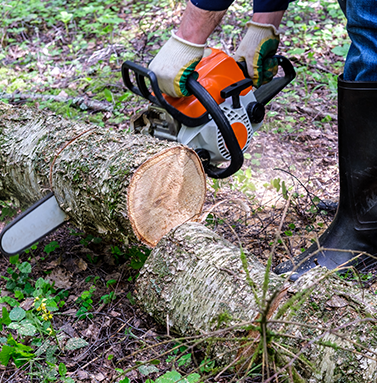 Ein Mensch mit einer Kettensäge zerkleinert einen Baum | Heinrich Niestroj Haus- und Grundstücksservice